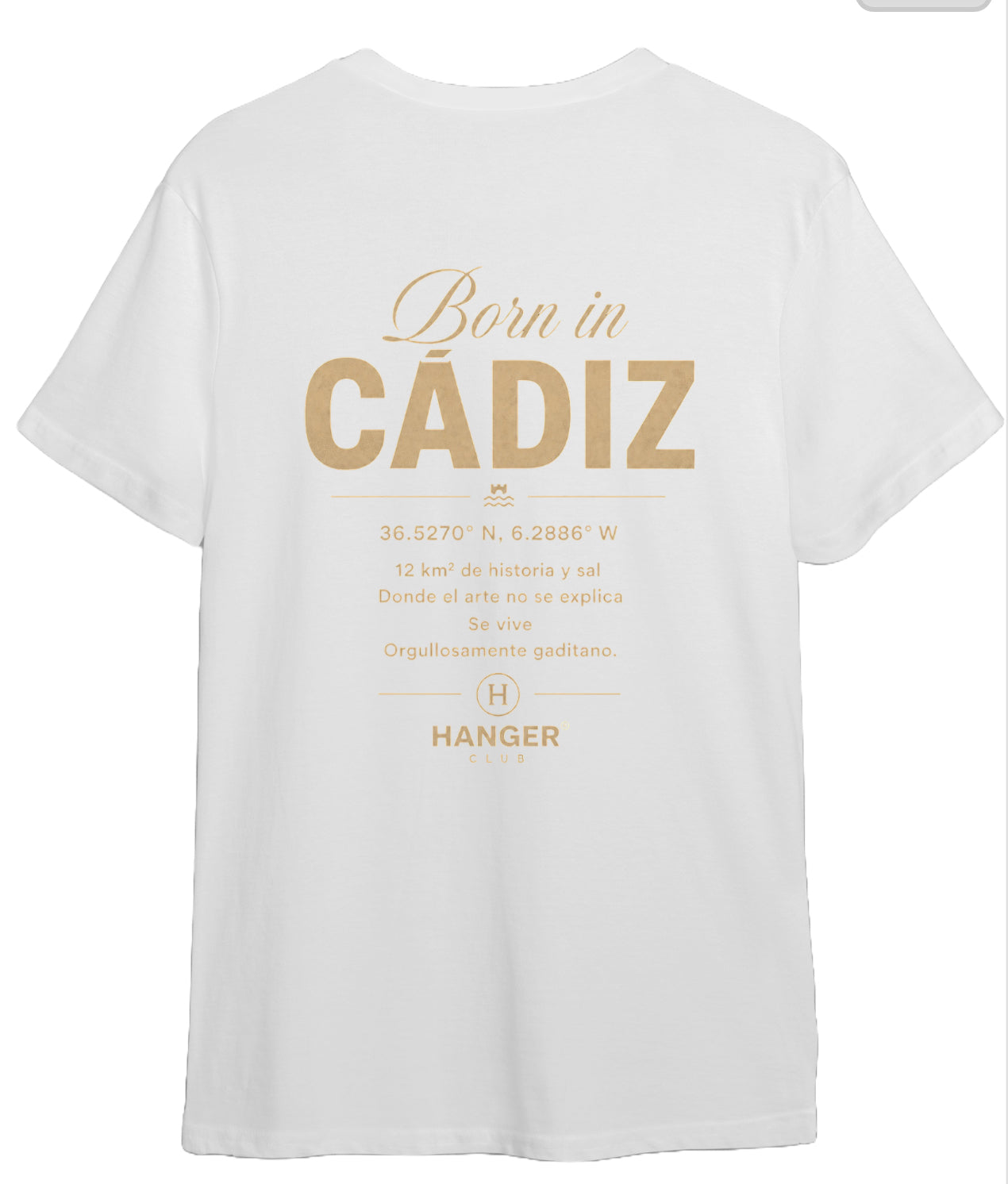 Camiseta oversize / Regular