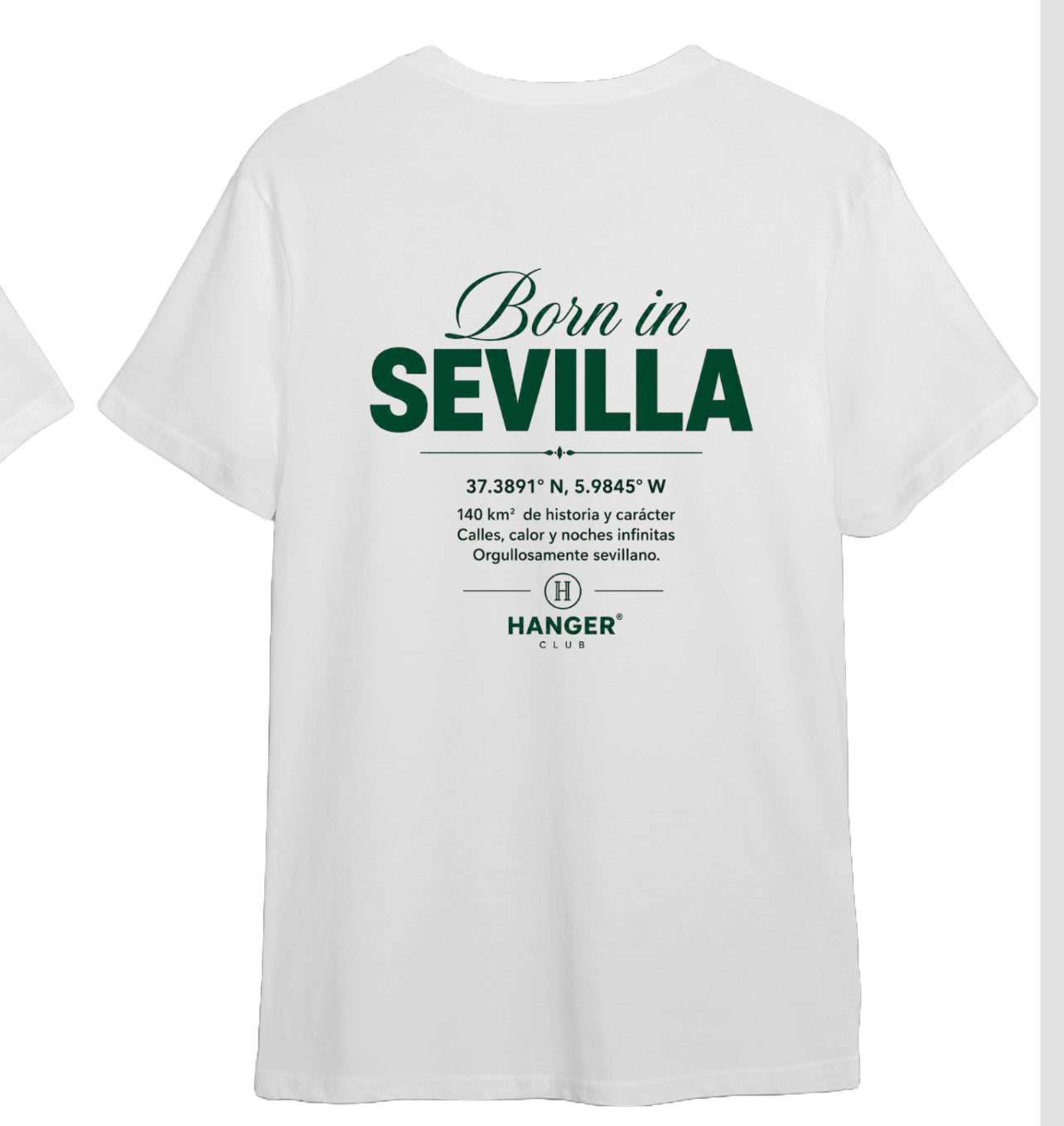 Camiseta oversize / Regular