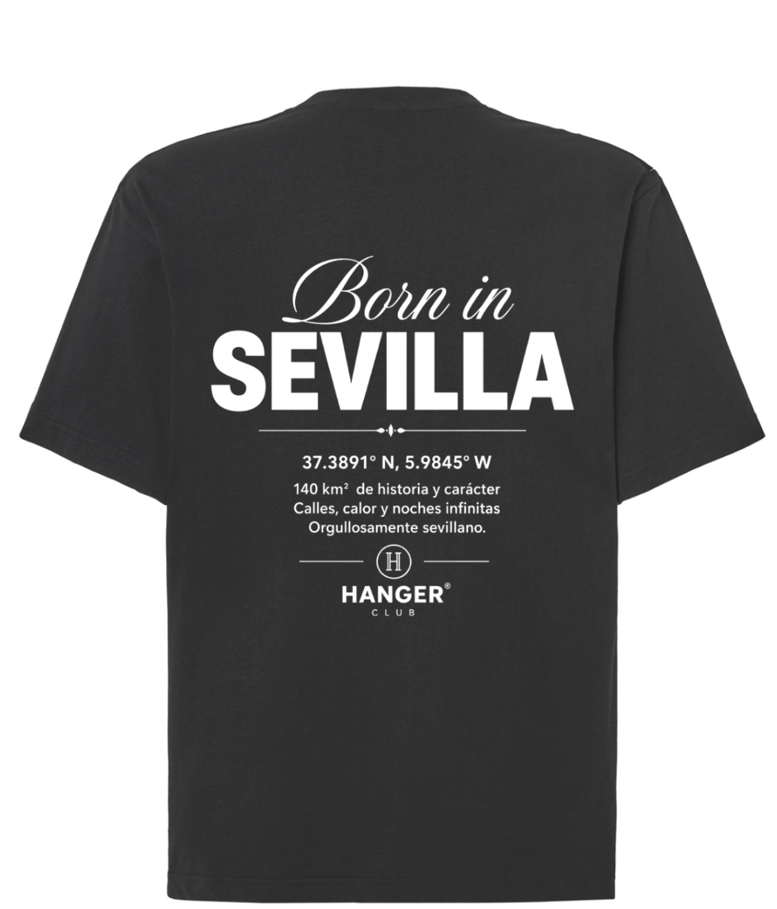 Camiseta oversize / Regular